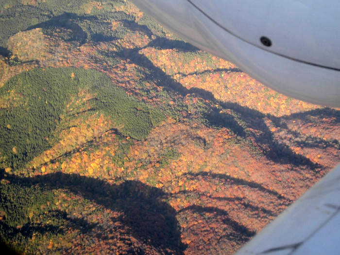 飛行機から見える紅葉がまた格別です  アルファーアビエィション